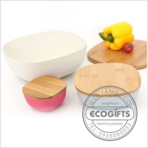 Bộ bát nhựa tre - Quà tặng ECOGIFTS - Công Ty TNHH Huge Fortune Việt Nam